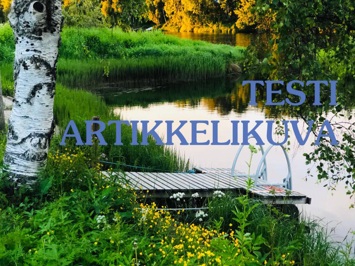 testikuva-1.jpg