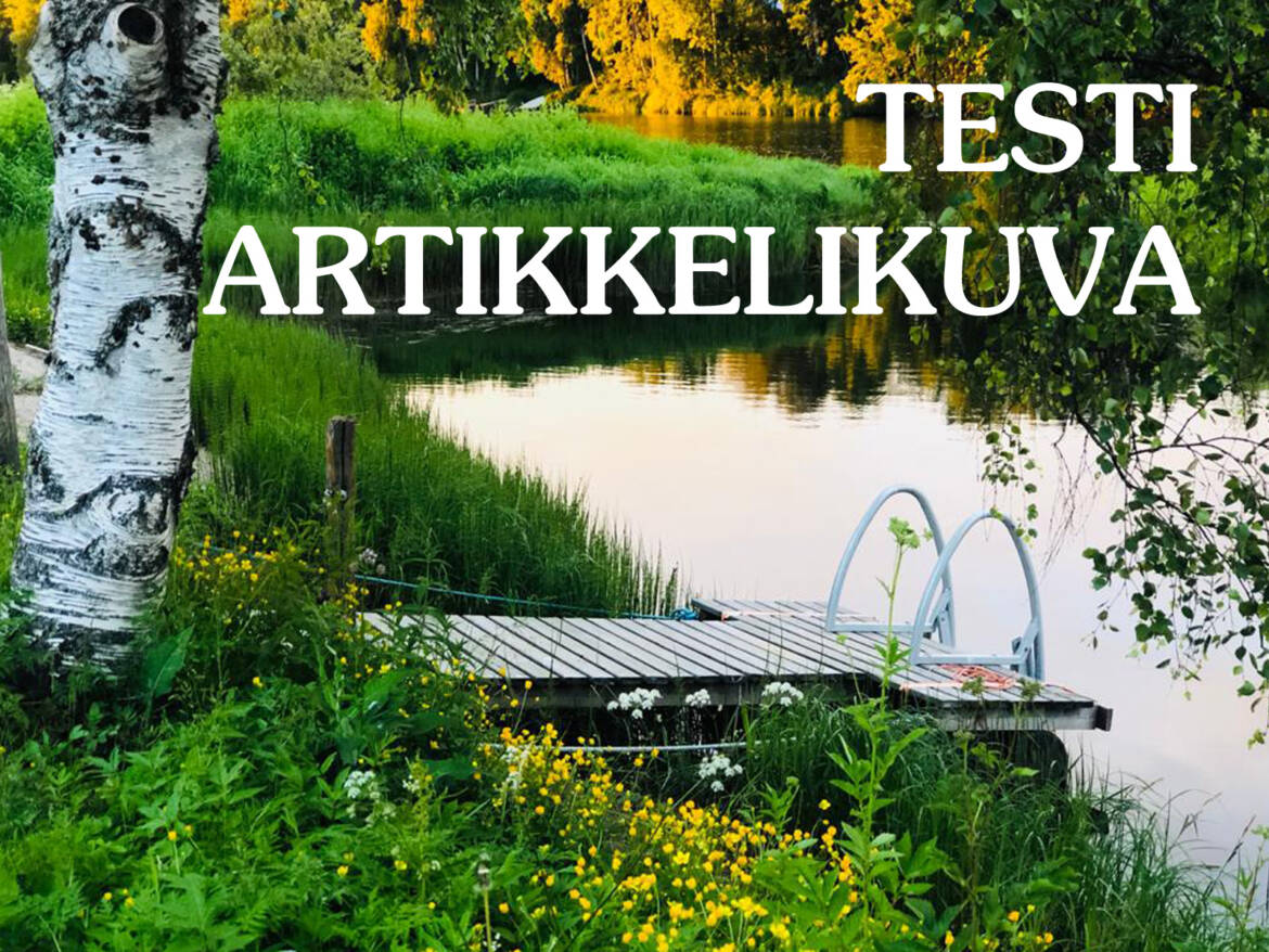 testikuva.jpg